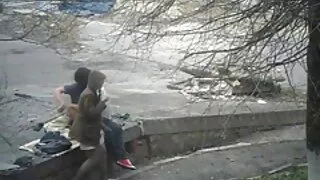 თუ ფემინი