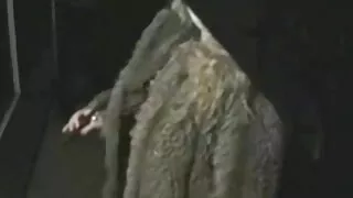 Super-bitch ერთად ბეწვის დაფარული coochie სარგებლობდა Double penetration
