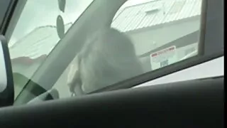 Chicks hooked up sex შემდეგ შხაპი აქტიური macho